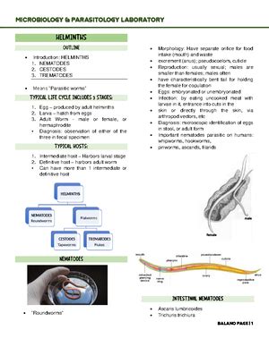 Microbiology And Parasitology Lesson Microbiology And Parasitology