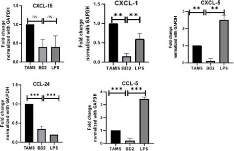 A E Effects Of BD 2 On The Expression Of Chemokines In Tumor