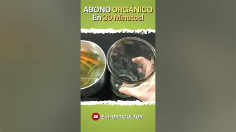 Como Preparar Abono OrgÁnico En Casa Rápido 🍓🚀 Youtube