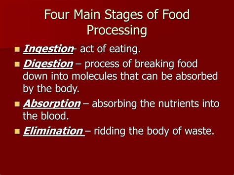 Stages Of Food Processing