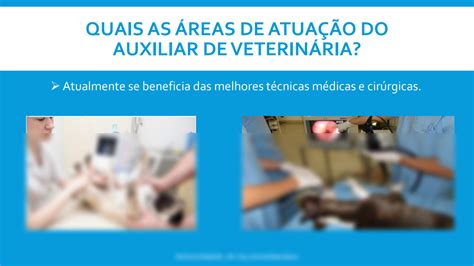 SOLUTION A Historia Da Medicina Veterin Ria Studypool