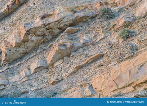 Rock Naked Breed On A Cliff Rocks Near The Sea Stock Image Image Of Danger Edge