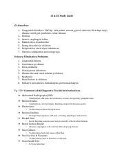 GI GU Study Guide Pdf GI GU Study Guide GI Disorders 1