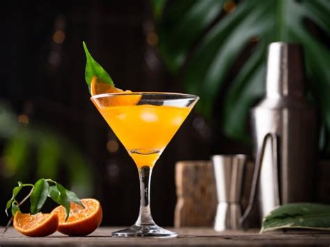 Recetas De Distintos Tipos De Martini Cocina Delirante