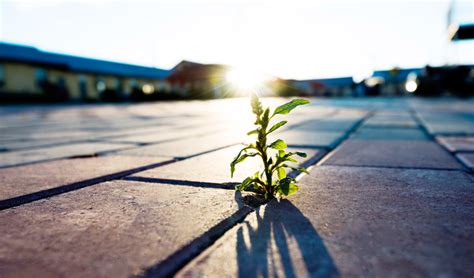 Green Idea Lab – Greening your business with ideas - GREEN IDEA LAB