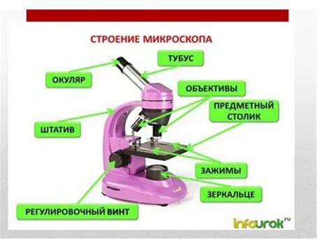 Презентация "Увеличительные приборы".