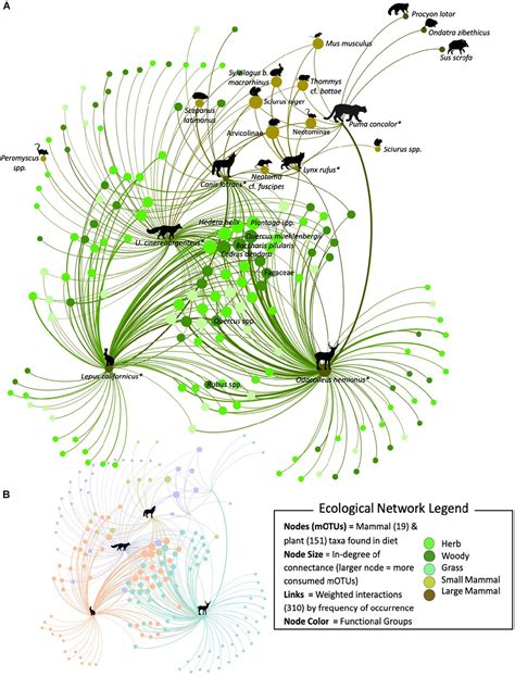 Frontiers Molecular Ecological Network Analyses An Effective