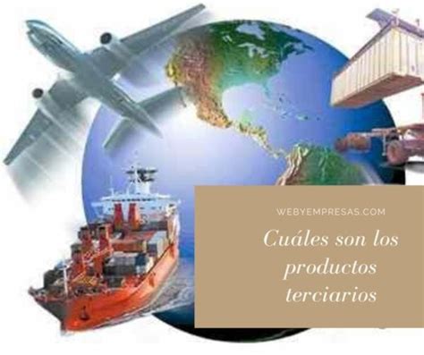 Sector Terciario Qu Es Actividades Y Caracter Sticas Web Y Empresas