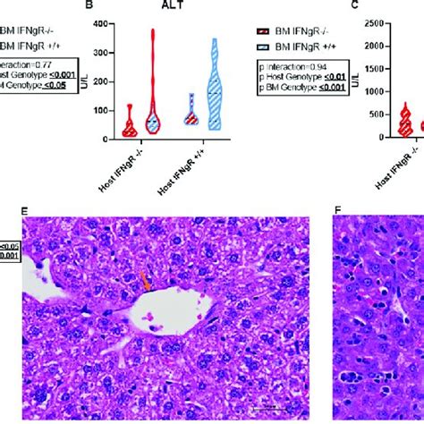 Hemophagocytic Lymphohistiocytosis Related Genes List Hlh Related Genes Download Scientific