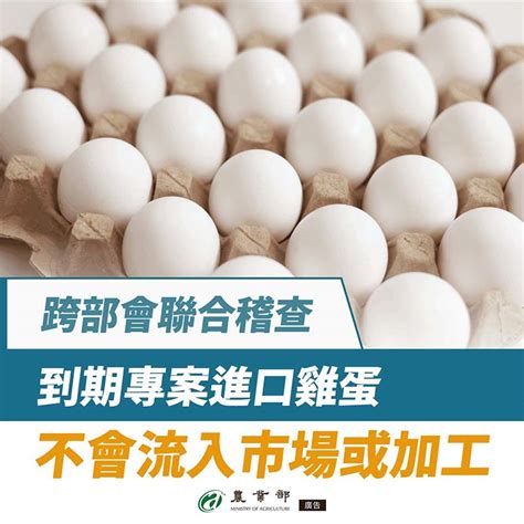 農業部證實有更多蛋進來 年底前每月進180萬顆 蕃新聞