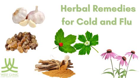 Natural Herbs For Cold And Flu Season