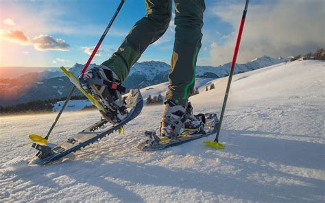 Les Meilleures Raquettes Neige Pour Randonner En Hiver