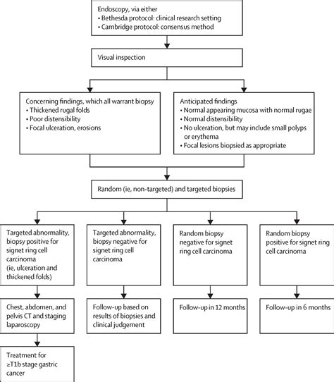 Cancer Surveillance As An Alternative To Prophylactic Total Gastrectomy