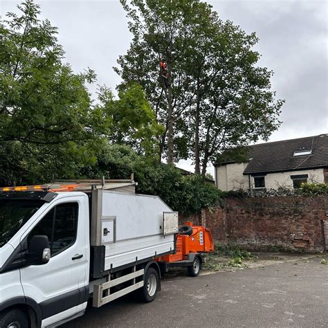 Cherry Tree Arborists Chorley Nextdoor