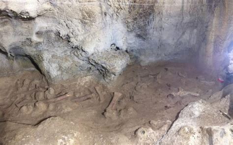 La Grotta Delluomo Di Neanderthal Al Circeo Ora Si Visita Anche Con La