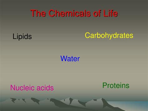 Ppt Biochemistry Powerpoint Presentation Free Download Id6861613