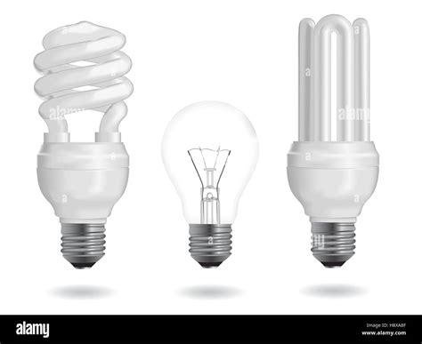 Incandescent And Fluorescent Energy Efficiency Light Bulbs Vector