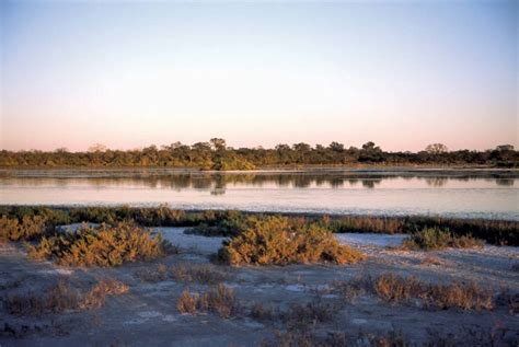 Chaco Paraguay Land Of Ecotourism