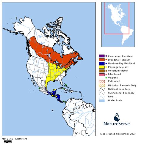 Tennessee Watchable Wildlife Yellow Bellied Flycatcher Habitat 1