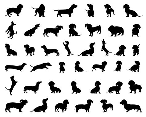 Dachshund Svg Bundle Dog Lover Svg Dachshund Cut File For Etsy