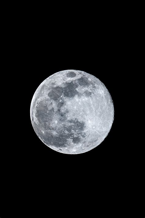 Wolf Moon 2023 : r/astrophotography