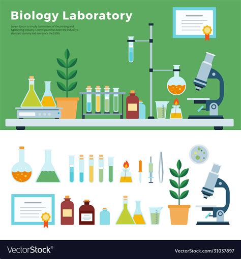 Biology science laboratory Royalty Free Vector Image