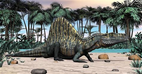 Arizonasaurus dinosaur | Prehistoric animals, Dinosaur, Extinct animals