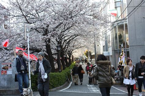 The Top 10 Best Areas For Your Shopping In Tokyo