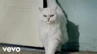 Katy Perry's New Single "Roar" Has Leaked