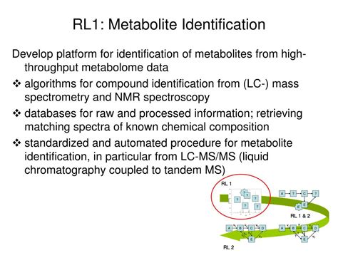 Ppt Bioinformatics For Metabolomics And Fluxomics Powerpoint