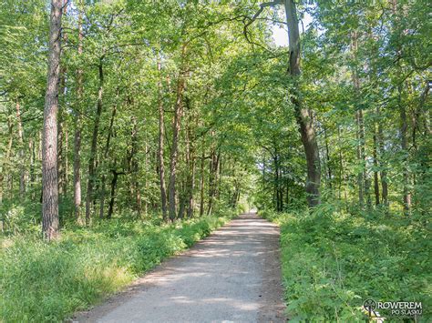 Czerwony Szlak Rowerowy Nr W Tychach Rowerem Po L Sku