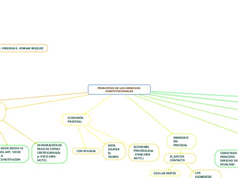 Principios De Los Derechos Constitucionale Mind Map