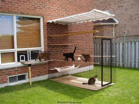 40 best Outdoor Cat Enclosure images on Pinterest | Outdoor cat ...