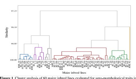 Figure 1 From Cluster Analysis Of Maize Inbred Lines Semantic Scholar