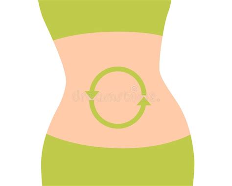 Metabolismo Femenino Y Masculino