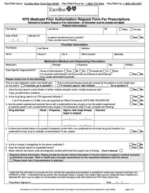 Excellus Prior Authorization Form Pdf Complete With Ease Airslate