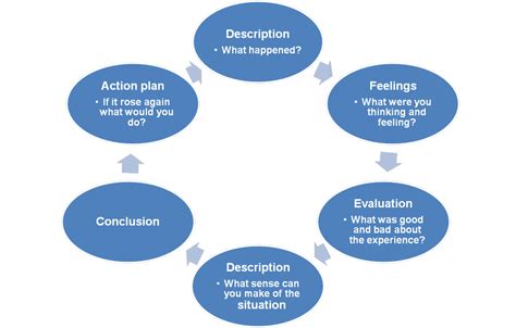 Gibbs Reflective Cycle Reference Harvard