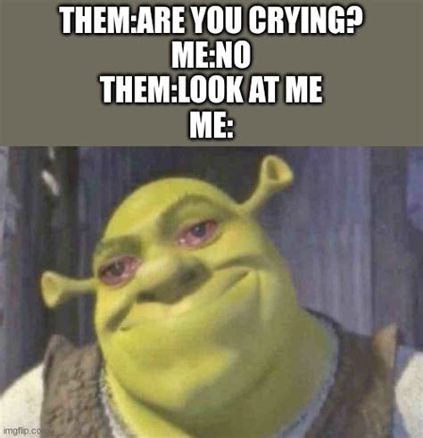 Crying shrek Memes - Imgflip