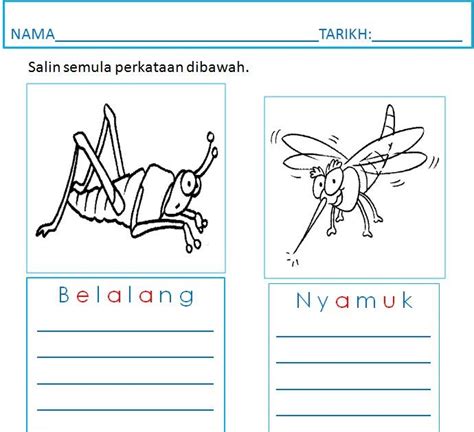 Mewarna Lembaran Kerja Tema Serangga Prasekolah Aktiviti Mengira Porn