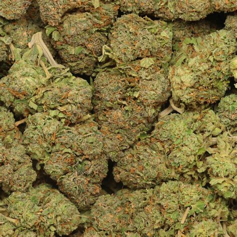 Blue Runtz Buy Weed At Bulk Buddy Online Dispensary Canada