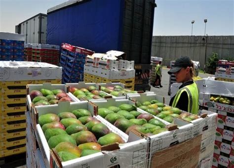 Transporte Por Carretera Monopoliza Envi De Frutas Y Hortalizas Frescas