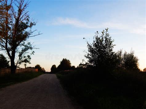 Beautiful Sunset with Blue Sky and Trees Stock Image - Image of grass, nature: 123897737