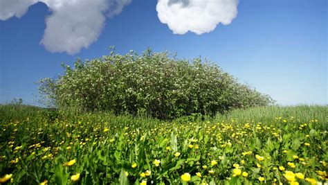 Se schimbă vremea în România Temperaturi de vară din aprilie