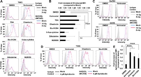 Figure From Inhibition Of The Hdac Suv G A Pathway Restores The