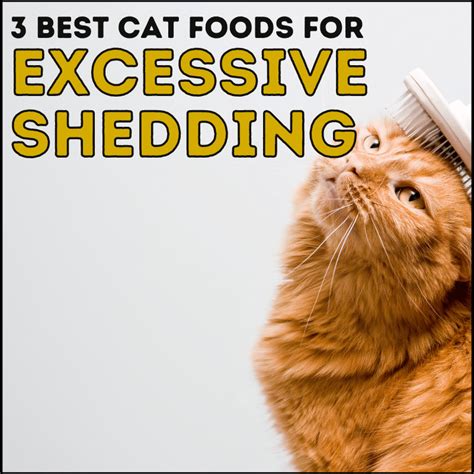 A Full Low Carb Cat Food List For Healthy Eating In 2023