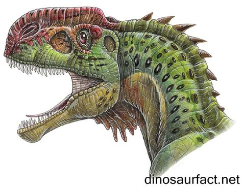 Monolophosaurus - Alchetron, The Free Social Encyclopedia