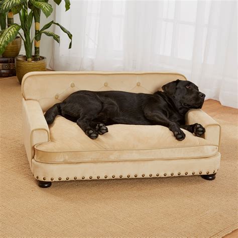 Extra Large Pet Sofa Bed At Samantha Vera Blog