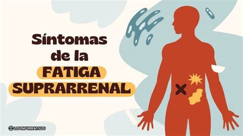 Qué es la Fatiga suprarrenal y cuáles son sus causas y tratamientos