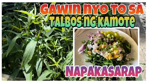 Ensaladang Talbos Ng Kamote Special Sweet Potato Tops Salad Mommy