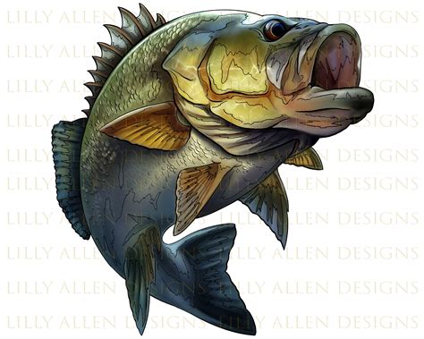 Jumping Bass Png Fish Png Sublimation Fish Png Hand Drawn - Etsy